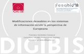 Modificaciones deseables en los sistemas de información desde la perspectiva de Europeana, de Francisca Hernández Carrascal, consultora, DIGIBÍS