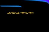 Micronutrientes Set 2008