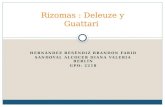 Rizoma Deleuze y Guattari