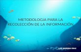 Metodologia para la recolección de la información-luz marina Diaz