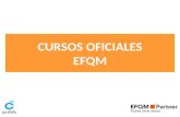 Packs Modelo de Excelencia EFQM 2013