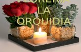 Floreria la orquidia felissa 3 ariadna