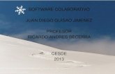 Software colaborativo Juan Diego Guisao