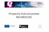 Proyecto Estructurante en Neurociencia Cognitiva