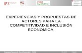 GTZ-Experiencias y Propuestas de actores para la competitividad e inclusion economica