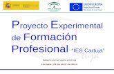 Formación Profesional Experimental - IES Cartuja de Granada