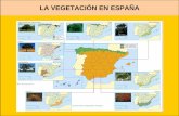 La VegetacióN En EspañA