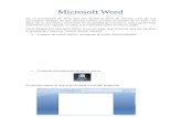 Guia de Microsoft word