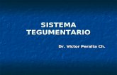 Embriologia - Sistema Tegumentario - Dr. Peralta