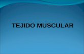 Histologia General   Tejido Muscular