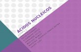 Acidos nucleicos (1)