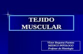 Histologia - Tejido muscular - Dr. Requena