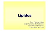 Clase Lipidos 2009