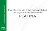 Platina   oswc2012