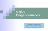 Ciclos biogeoquímicos   8avo 2012