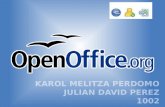 Open officce
