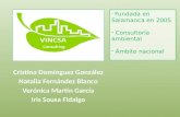 Estudio de Impacto Ambiental del Hospital Martínez Anido (Salamanca) - Consultoría VINCSA (Escuela Europea de Negocios)