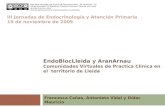 EndoBlocLleida (participacion, noviembre 2009 castellano)