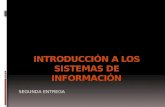 Importancia de los sistema de información informatizados II