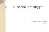 Manual de skype