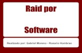 Raid Por Software
