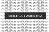 Simetria y asimetria