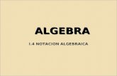I.4 notacion algebraica