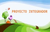 proyecto integrador 1-1