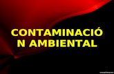 Contaminacion seminario 6o1