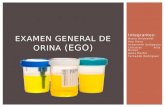 Examen General de Orina (EGO)