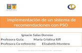 Implementación de un sistema de recomendaciones con PSO - Final