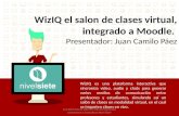 Presentación Webinar WizIQ