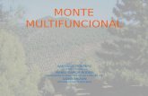 P7-Monte multifuncional.