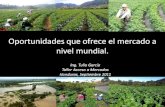 Tulio Garcia  - oportunidades de mercado