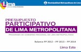Roles y Funciones de la Sociedad Civil en la Gestión del Desarrollo de Lima Metropolitana