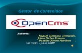 01 Open Cms Cap09