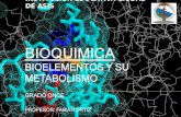 Bioquimica   11