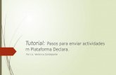 Plataforma Declara-Pasos para subir una  actividad.