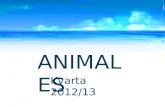 Animales   kvarta 2012-13
