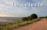 La Celeste - Cuando juega Uruguay - Jaime Roos