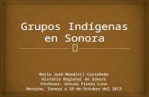 Grupos indígenas en Sonora