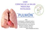Patologia Cap 15 Pulmon