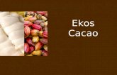 Lanzamiento Ekos Cacao