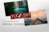 Yucatán turismo uclah