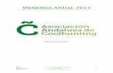 Memoria anual 2013 de la Asociación Andaluza de Coolhunting