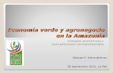 Economía verde y agronegocio en la Amazonía: sinergias económicas y contradicciones socioambientales