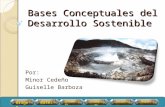 Bases Conceptuales Del Desarrollo Sostenible