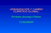 UrbanizacióN Y Clima Urbano