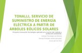 Tonalli, servicio de suministro de energía eléctrica