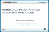 Módulo de base de datos inventario de Recursos Minerales